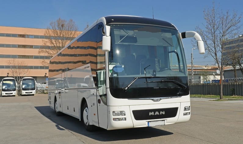 Romania: Buses operator in Ilfov County in Ilfov County and Romania