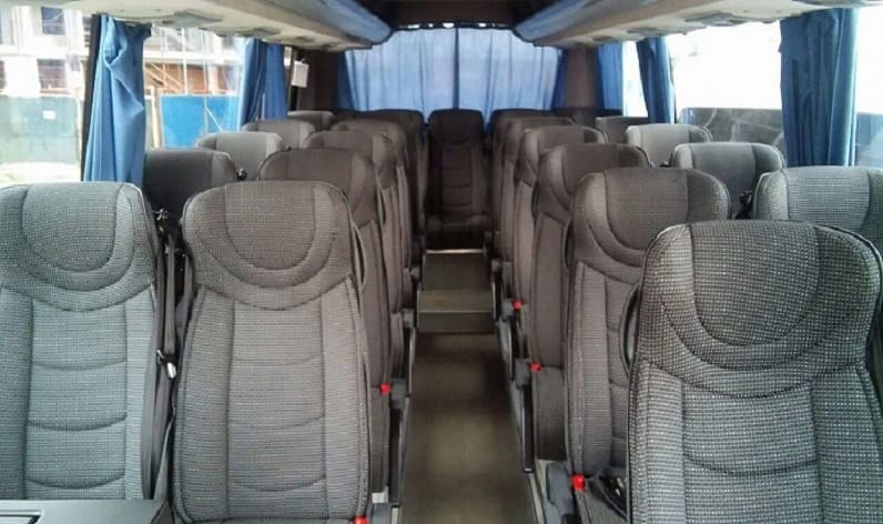 Romania: Coach hire in Ialomița County in Ialomița County and Fetești